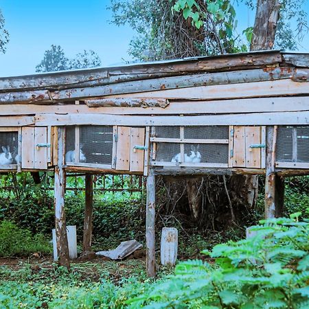 Karisimbi Cave Resort Ruhengeri Ngoại thất bức ảnh