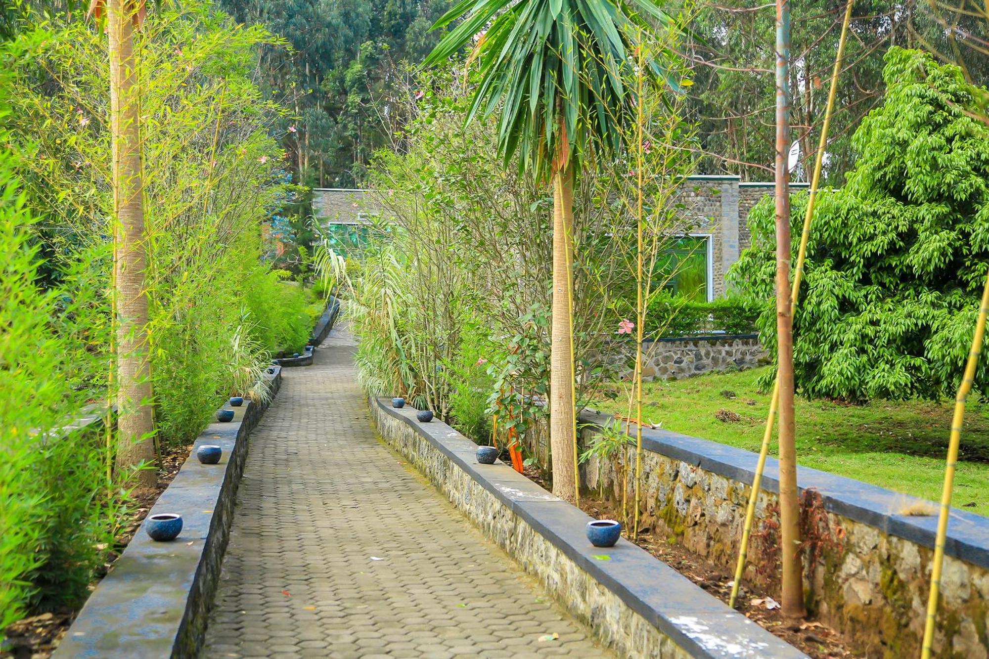 Karisimbi Cave Resort Ruhengeri Ngoại thất bức ảnh