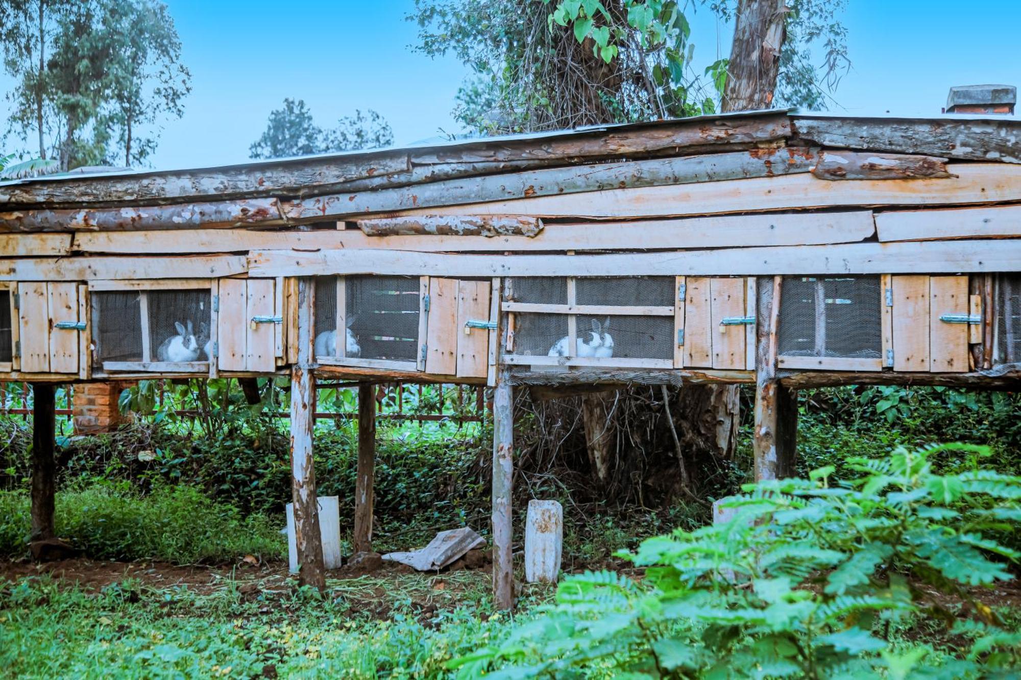 Karisimbi Cave Resort Ruhengeri Ngoại thất bức ảnh